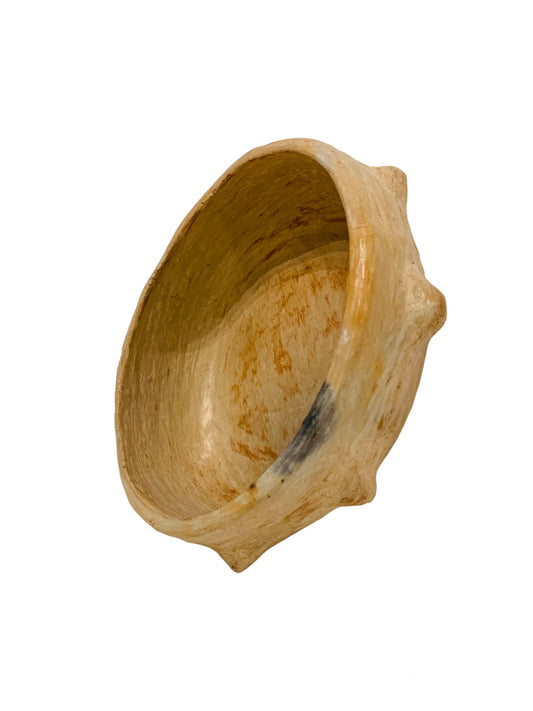 Poterie SEJNENE - Poterie Berbère Labellisée Patrimoine Culturel Immatériel par UNESCO    - POT/101/BLA/MOY